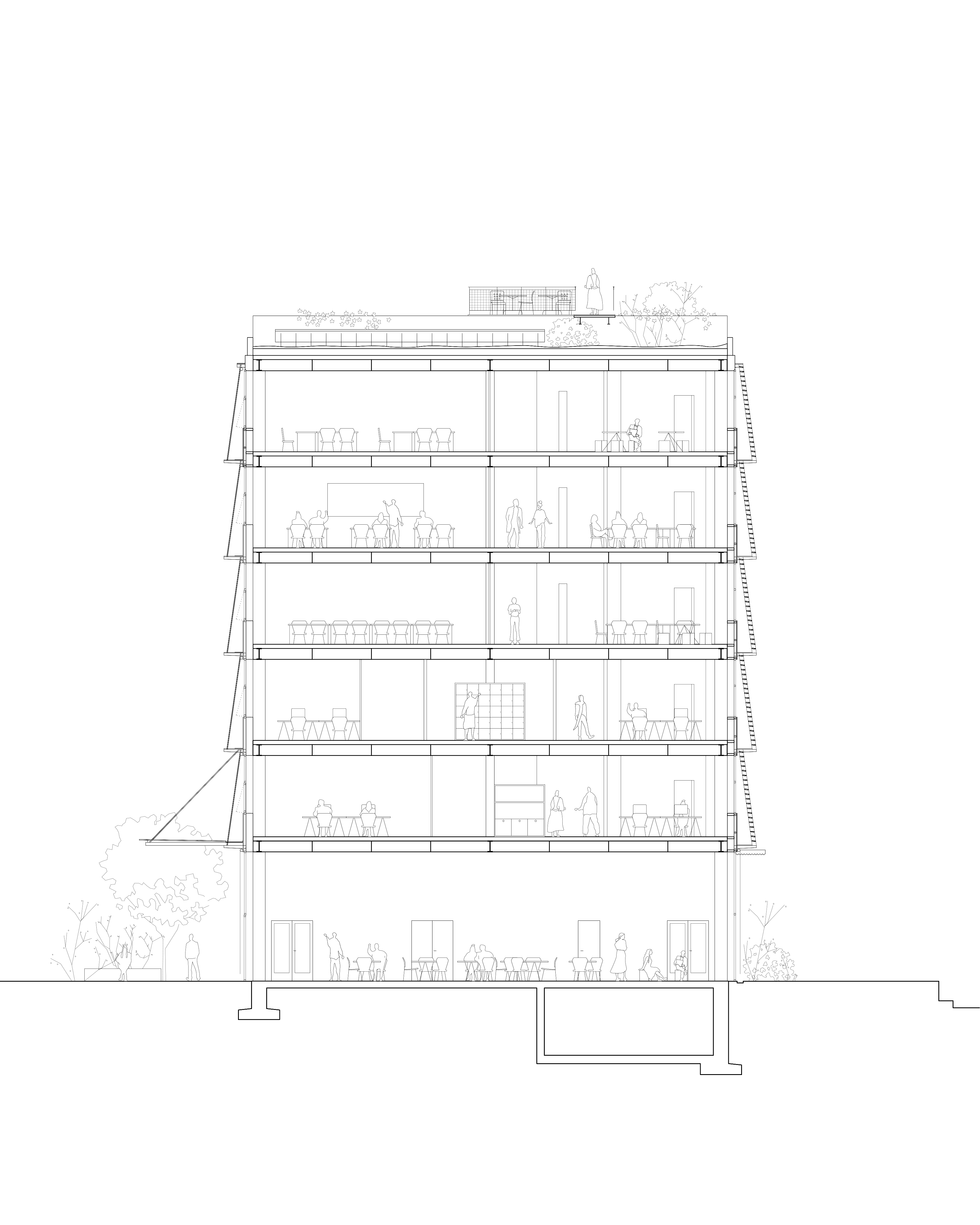 1435 mm — coupe transversale