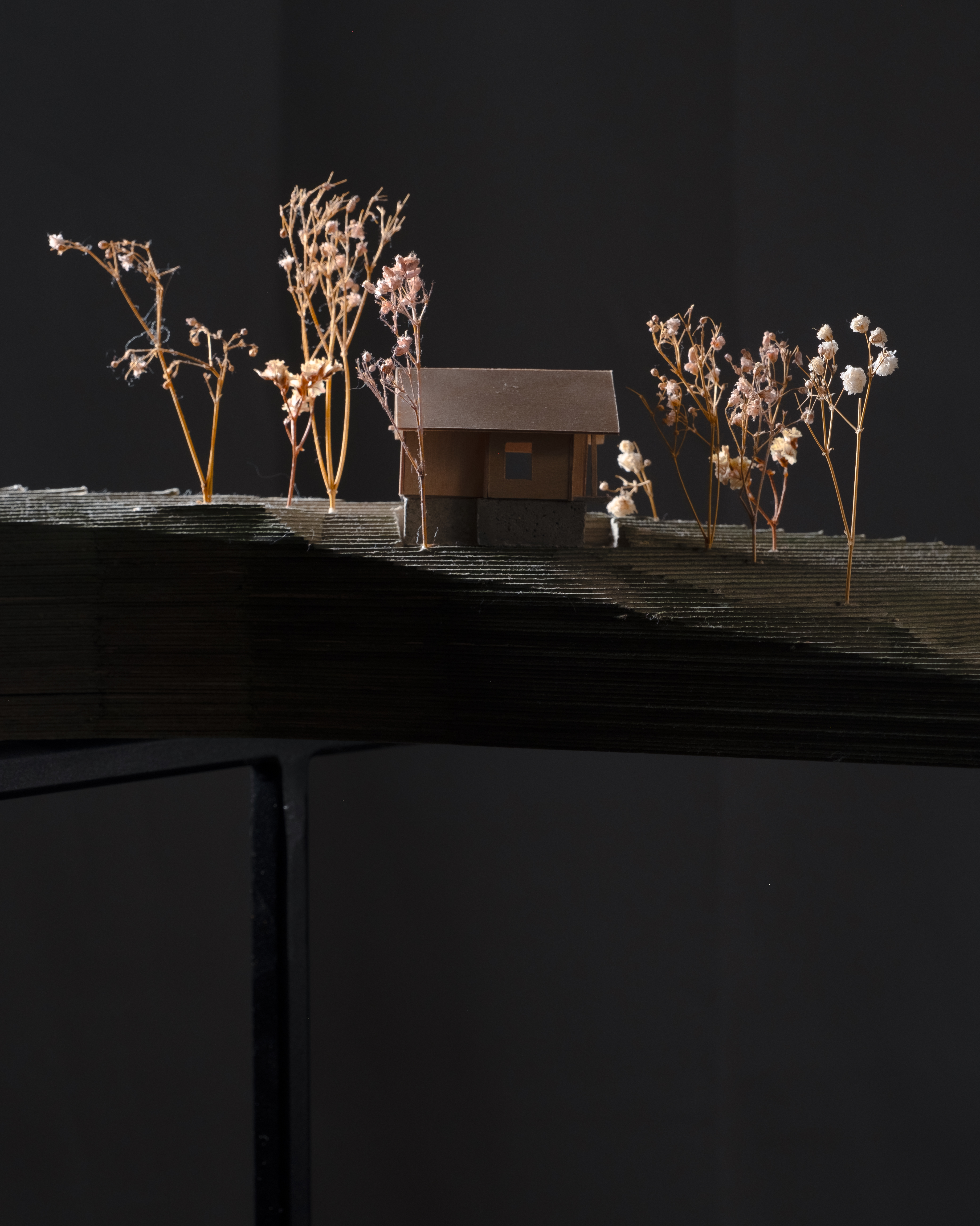 La Crétaz — maquette de site, détail