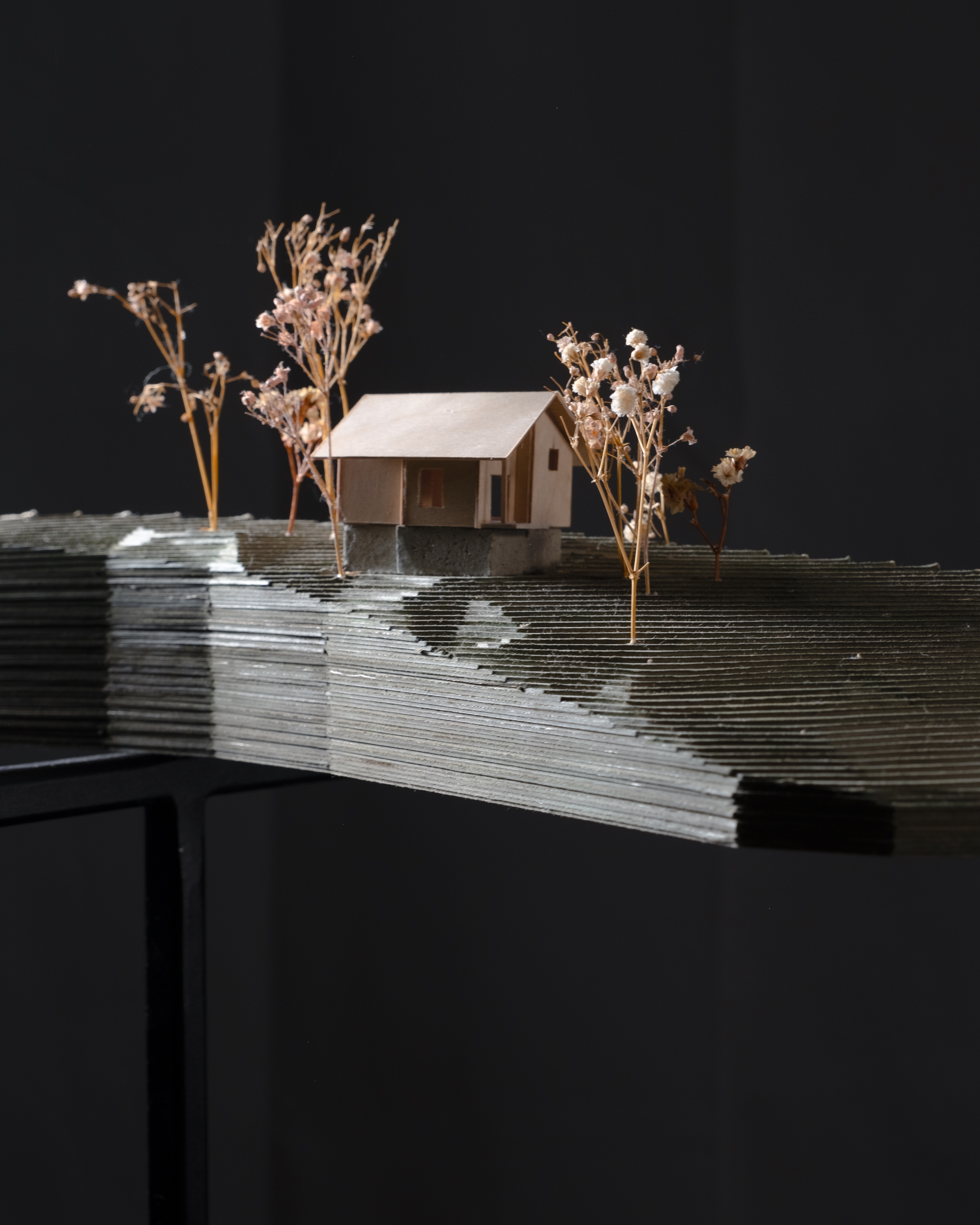 La Crétaz — maquette de site, crête